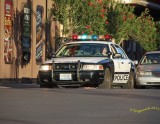 LVMPS FORD CROWN VIC