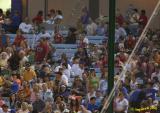 Bat and a net.