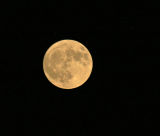 August Moon