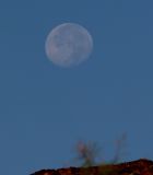 Morning moon