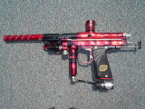 latest pics 020.JPG
