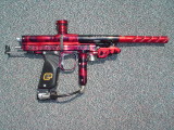 latest pics 021.JPG