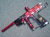 latest pics 023.JPG