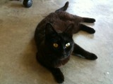 Iphone pics 001.jpg