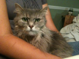 Iphone pics 005.jpg
