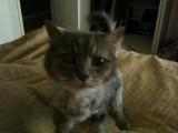 Iphone pics 007.jpg