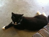 Iphone pics 016.jpg