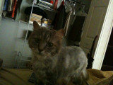Iphone pics 020.jpg