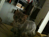 Iphone pics 022.jpg