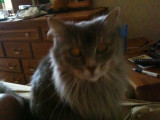 Iphone pics 029.jpg