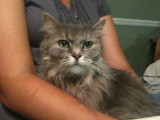 Iphone pics 030.jpg