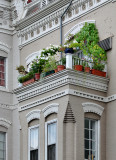'Bay-top' garden
