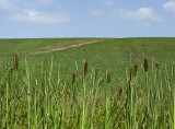 Manassas National Battlefield Park