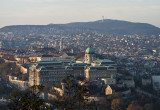 Buda from Gellrt Hill