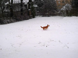 Sahraa encounters snow for first time