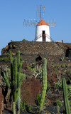 Manriques Cactus Garden.jpg