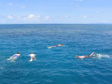 Snorkelling.jpg