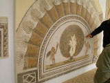  El Djem - museum - peacock mosaic