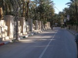 Nice shady avenue in Tozeur