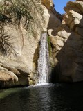 Mountain oasis of Chebika - waterfall