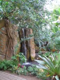 Meijer Gardens - Conservatory waterfall