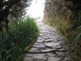 1.Part of the Inca Trail (Chaquiqocha-Phuyupatamarka)