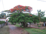 Another typical street