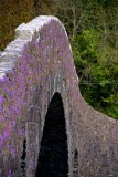 Scotland