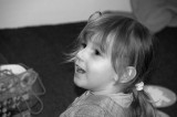 Nol 2010