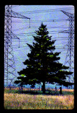 Powerline Transmissions