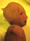 Mr Potato head.