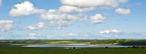 26_June_09<br>Ythan Estuary