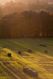 31_Oct_2010 Golden October