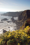 16_Feb_08_003 <br> Muchalls