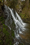 DSC_0856<br>Faery Glen 3