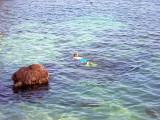 frank snorkeling outside the room