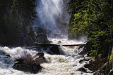 Fish Creek Falls Mist and Trees