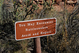 Pecos Rattlesnake Warning