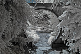Moon Gate 2 Infrared