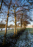 Beaverstown Golf Club - December 2010
