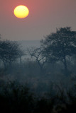 Sunset at Londolozi