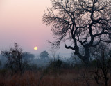Sunset at Londolozi.