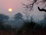 Sunset at Londolozi