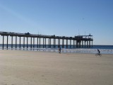 Scripps Pier