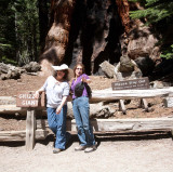 Cynthia, Dee, and the Grizzly Giant