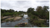 Sabie river