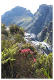 Tafelberg