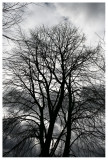 stormy weather