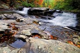 Tellico River