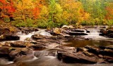 Tellico River